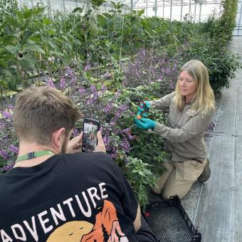 Marketing team member filming team member in growing point greenhouse